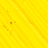 Image Jaune permanent clair Williamsburg